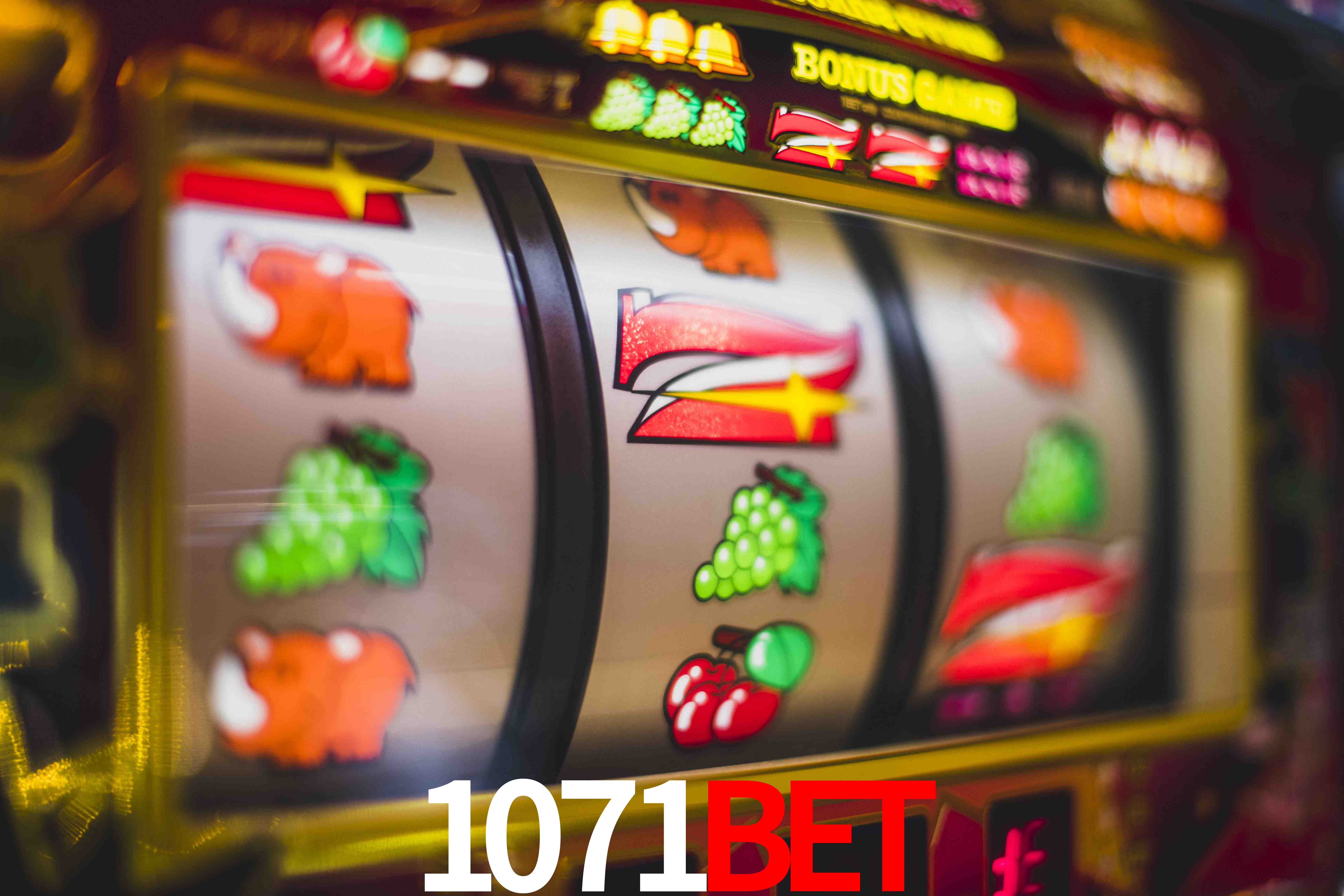 VIP Casino 1071bet